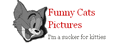 FunnyCats,ЦèͼƬȫ