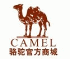 camelչٷ̳