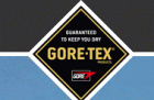 Gore-Tex̨