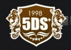 5DSʵѵ