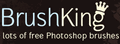 BrushKing,PSˢ