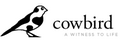 Cowbird,ⲩ;ۼ